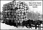 Largest load of logs