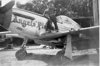 Zemke's Wolfpack Plane